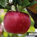 글로리아어린이집 이미지