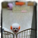 몽이스토리