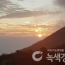 대율 녹색경제