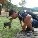 백담알프스펜션 이미지