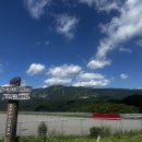 프롬나드 이미지