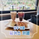 다옴식자재마트