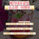 배가네수공업 네이버블로그
