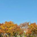 기린푸드코트 이미지