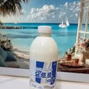 4공단로1L-6 | [리뷰] 진한 풍미에 반하다! 아이 간식으로 딱 좋은 '요르르 플레인 요거트 마시는요거트 1L 요거트유산균