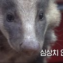 미옥농장 이미지