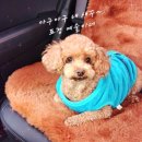 예담 건축사사무소 이미지