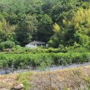 덕곡리경로당 이미지