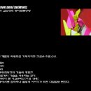로봇트리 Daum카페