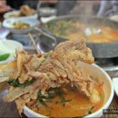 통뼈연가 이미지