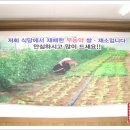 나라건강원