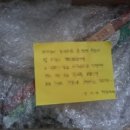 햇살그린비 이미지