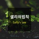 샐리의 법칙(sally´s law) | [심리용어] 샐리의 법칙(Sally's law)이란 무엇일까요?