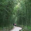 길로목장 이미지