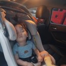 백양돼지국밥 이미지