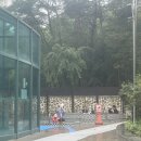 화순금호리조트푸드코트 | 전남 화순/ 금호리조트 워터파크 "아쿠아나" 방문 후기(실내 수영장, 노천탕, 파도풀)