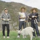 삼시세끼흑염소 이미지