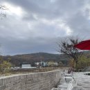 황금콩짜장