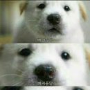 그린빌9단지 이미지