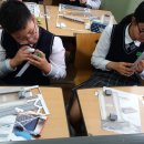 진영중학교 이미지