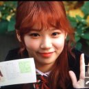 채원