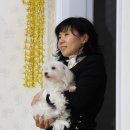 영숙태양광 이미지