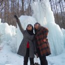 숲속의 둥지 이미지