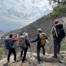 충청권 600고지 산행 제16탄 [수통골~ 빈계산~ 금수봉~ 밀목재~ 학봉삼거리] 이미지