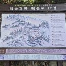 완도22호 이미지