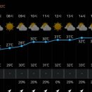 진양축산 이미지