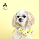 진관-044 네이버블로그