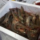 회령수산 이미지