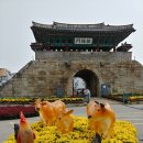 광역투어(다섯째주, 일) | 풍경있는여행 충남광역투어 홍성 글로벌 바비큐 페스티벌 2025