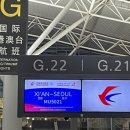 F88 | 2025 시안에서 인천 공항 가장 저렴한 항공편 | 동방항공 칭다오 경유 (+ 1터미널 버스 타는 곳...