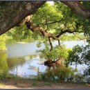 남산반곡지 이미지