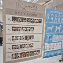 메리그루밍 이미지