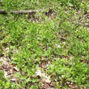 산덕농장 이미지