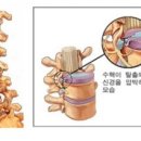참편한마취통증의학과의원 이미지