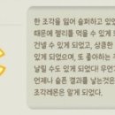 속삭이는 바다 이미지