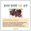 보감한의원 이미지