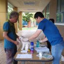 곡성-200 이미지