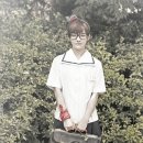 롤리폴리 - 거제시 옥포로 250 | 롤리폴리