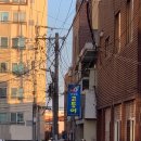 ㈜제주아산렌트카 | 제주1일차 | 미영이네 고등어회 닫아서 간 안경쓴고등어 솔직후기 (위치/가격/내돈내산)