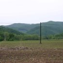 서나라농장 이미지