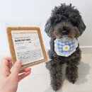 (주)레시펫 | 노견사료 로 추천하는 프리미엄 강아지화식 '레시펫 수비드 자연식 9종' 급여후기