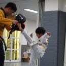 로운태권도 이미지