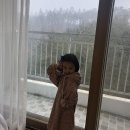 세빈목장 이미지