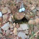 옥녀봉약수터 이미지