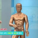 ＜공개클리닉웰＞침술 - 한의학의 결정체, 침의 정체는? 이미지