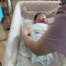새봄약국 | 인천 부평구 산곡동 새봄여성병원 제왕절개 출산후기